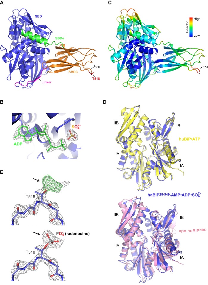 Figure 2—figure supplement 5.