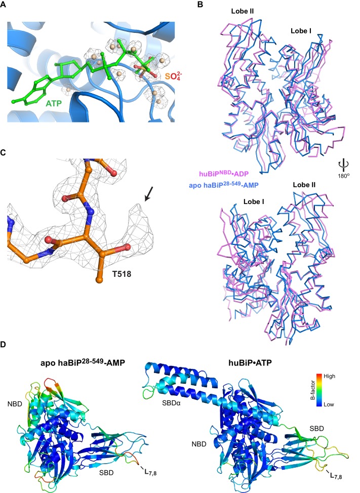 Figure 2—figure supplement 1.