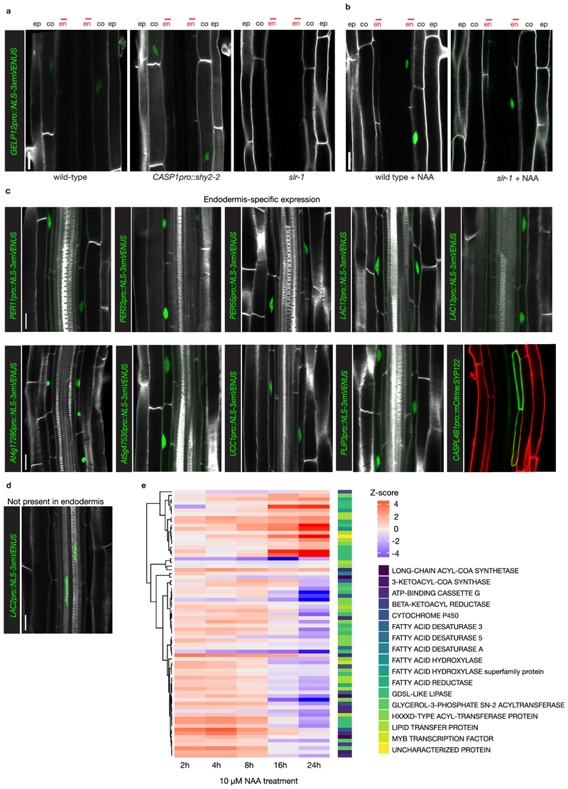 Extended Data Fig. 3