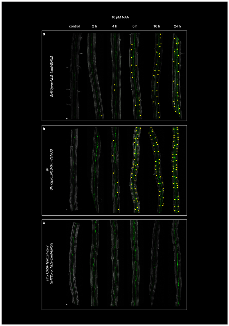 Extended Data Fig. 1