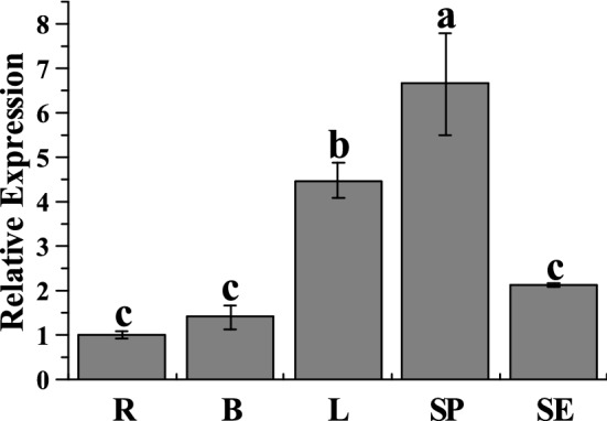 Figure 5