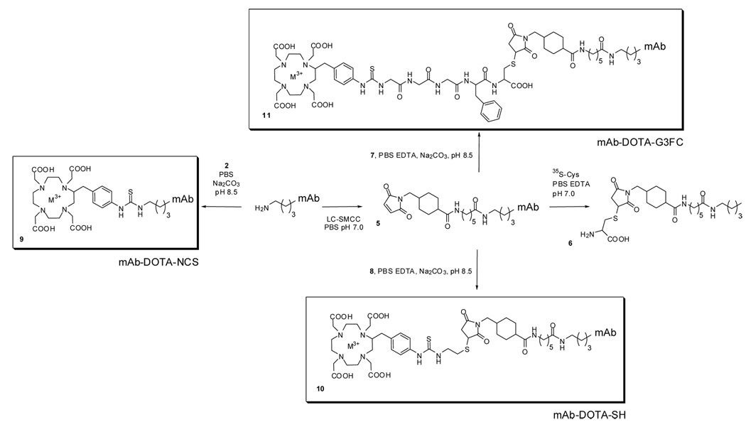 Scheme 2