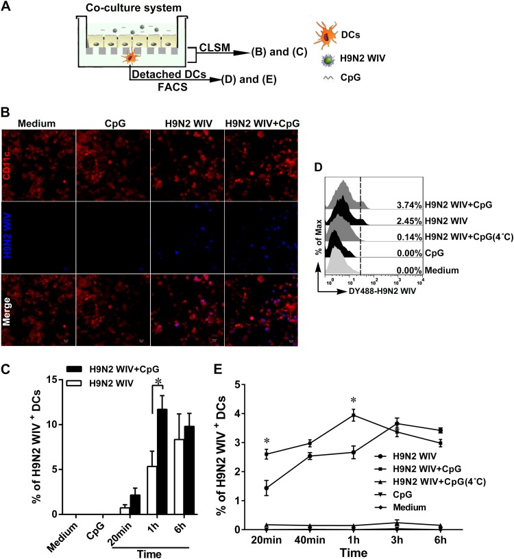 FIG 3