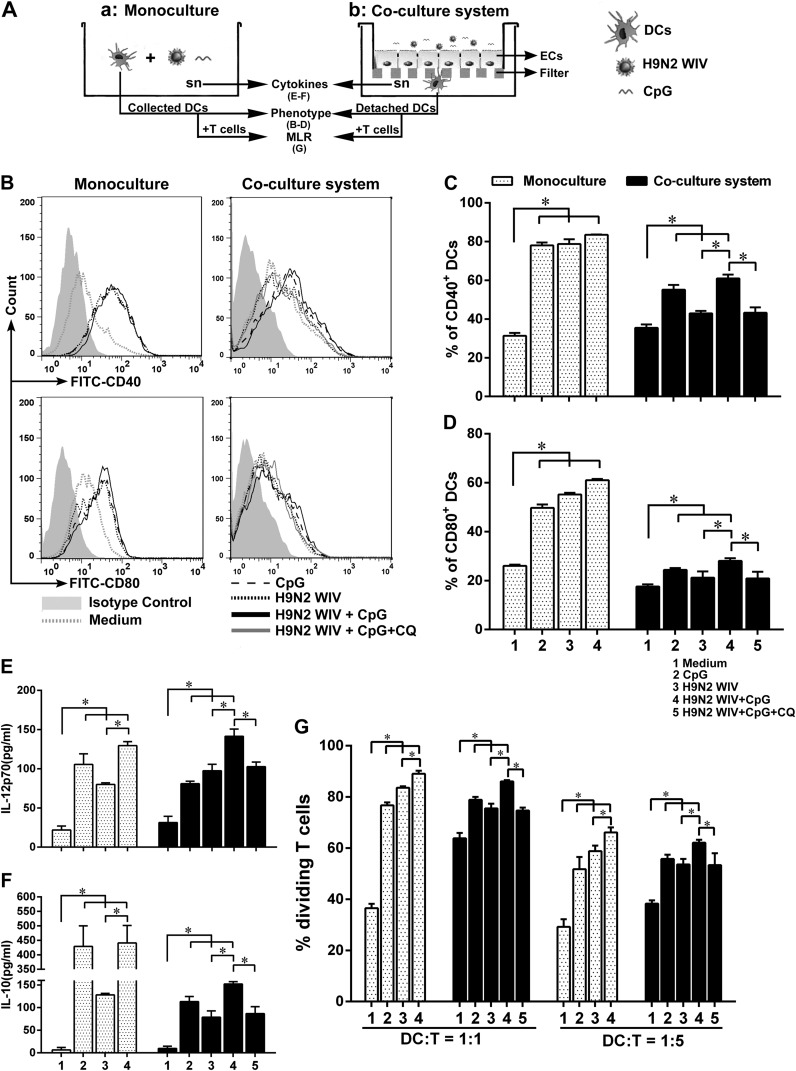 FIG 2