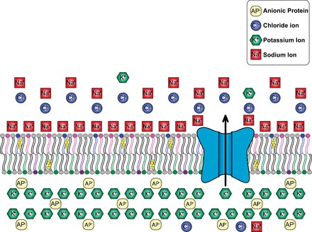 Fig. 2.