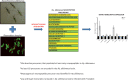 Image, graphical abstract
