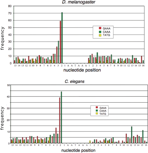 Figure 6.