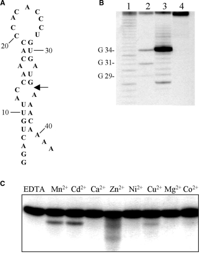 Figure 5.