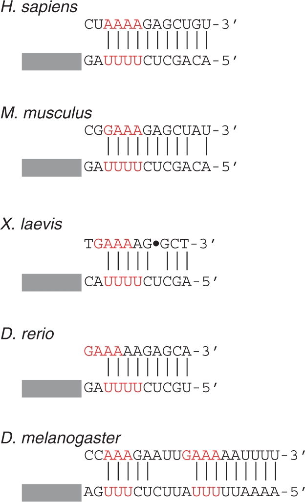 Figure 7.