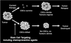 Fig. (1)