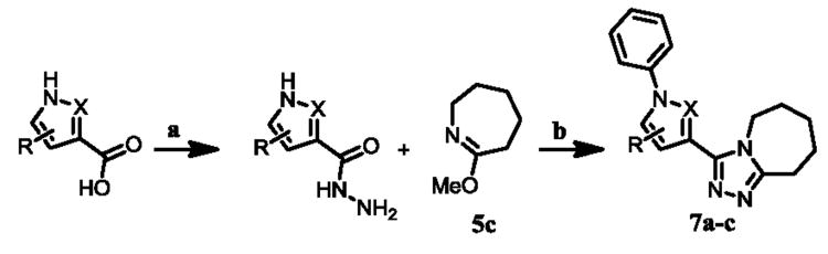 Scheme 3