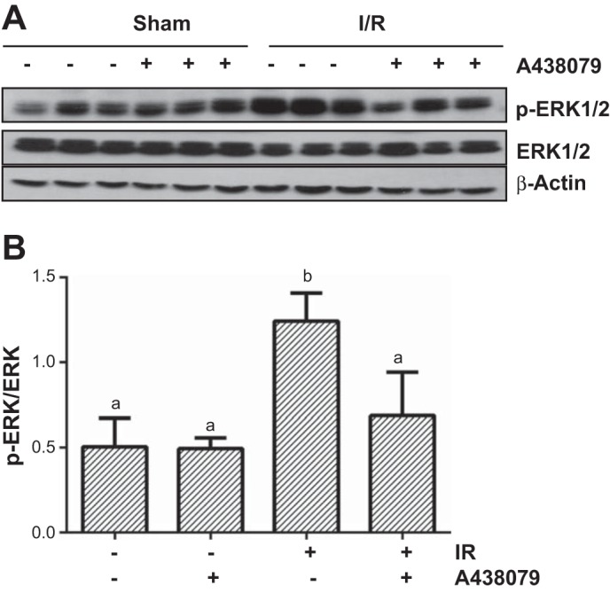 Fig. 8.