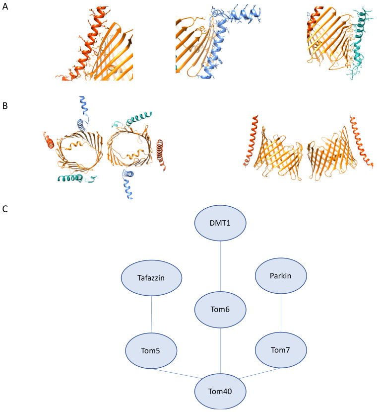 Figure 6