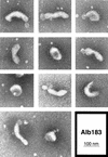 FIG. 8