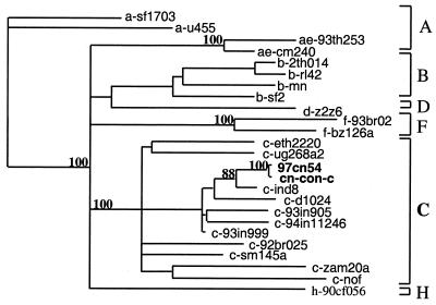 FIG. 1