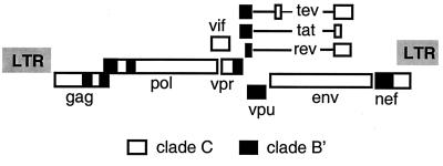 FIG. 6