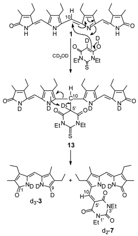 Scheme 5