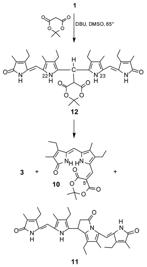 Scheme 4