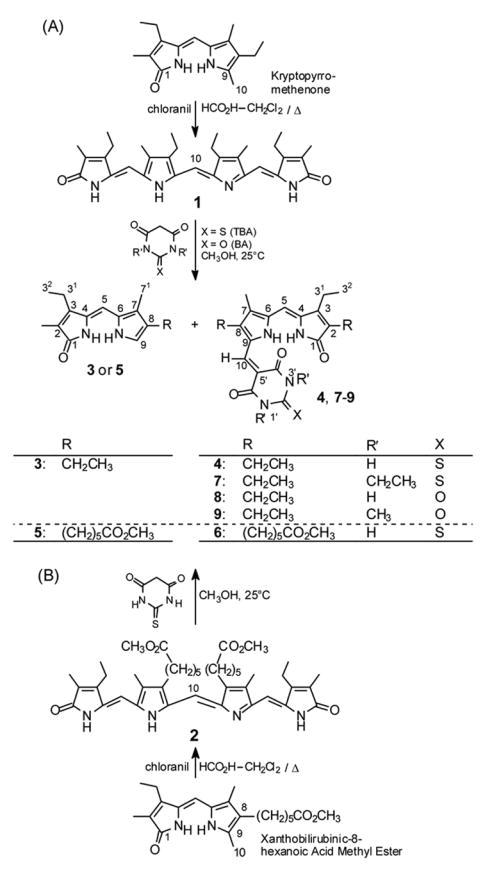 Scheme 3