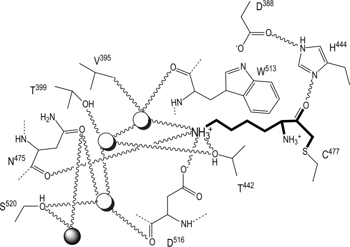 FIGURE 4.