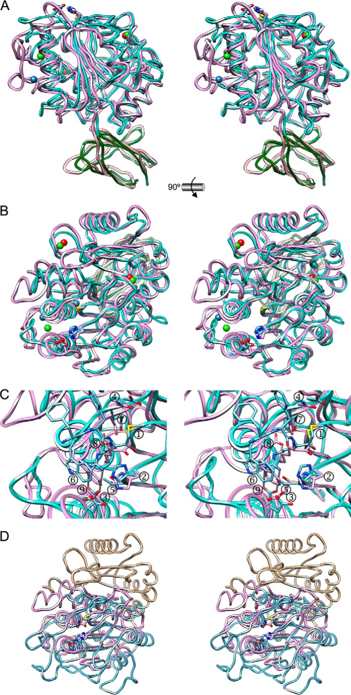 FIGURE 5.