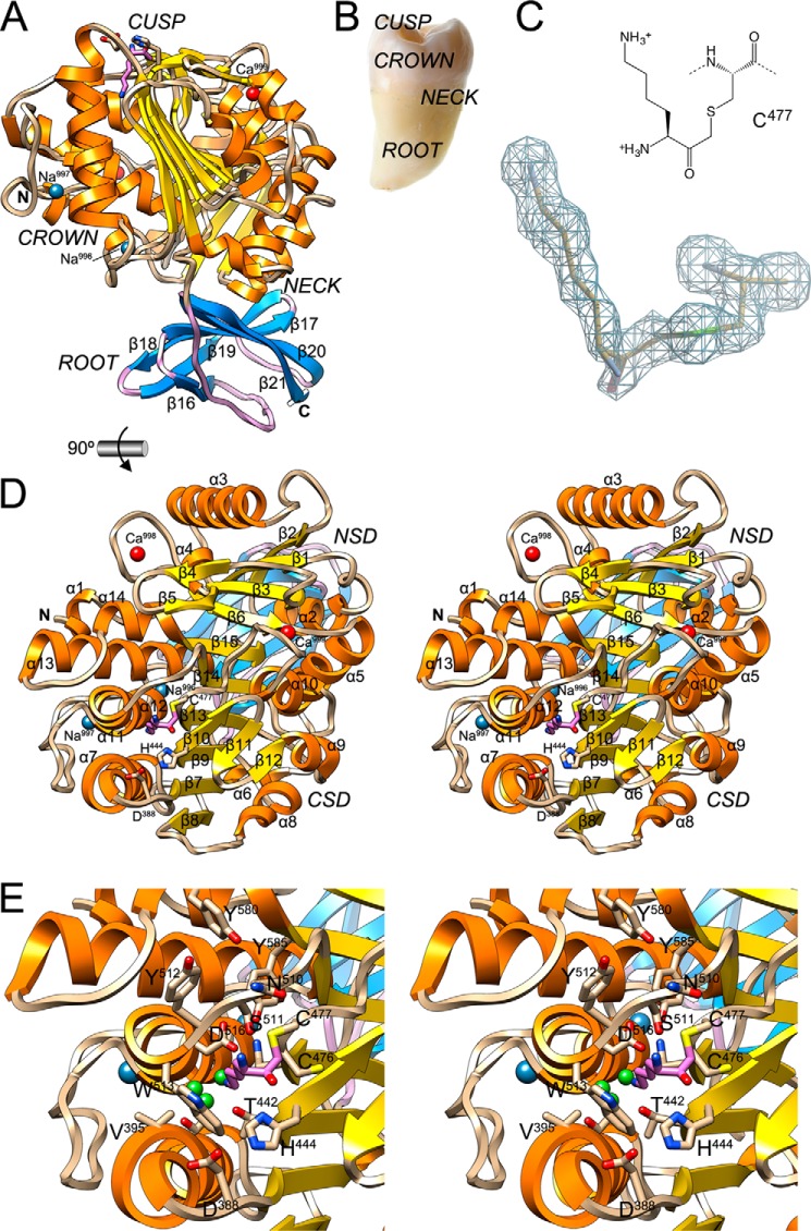 FIGURE 2.