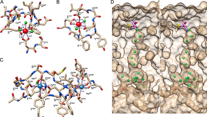 FIGURE 3.