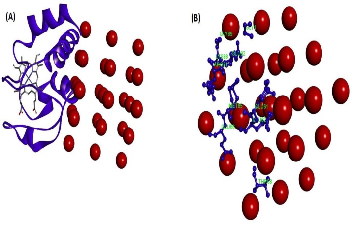 Fig. 23