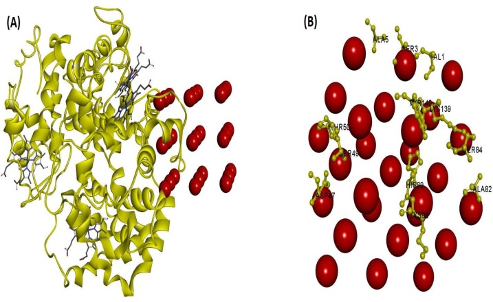 Fig. 22