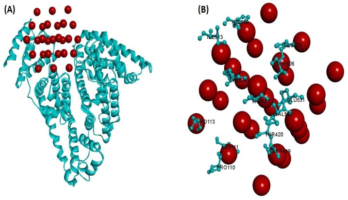 Fig. 21