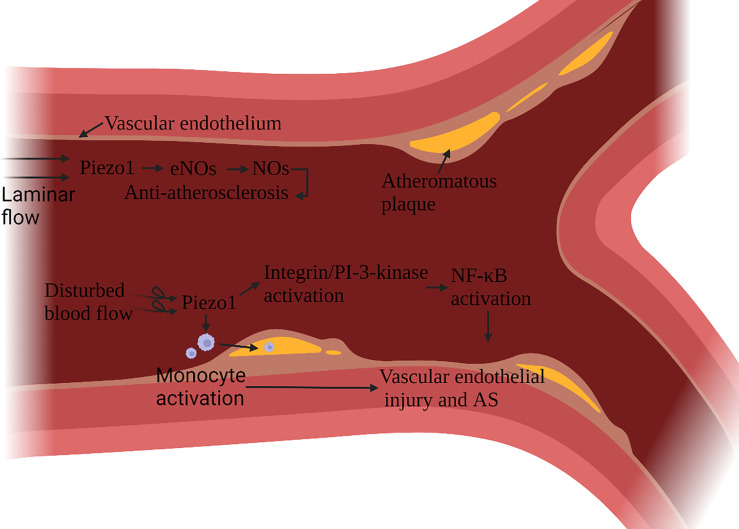 Figure 6