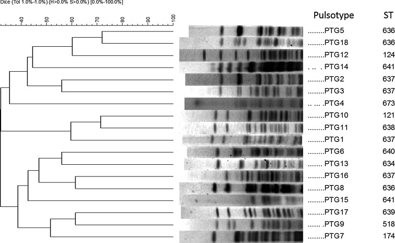 FIG. 1.