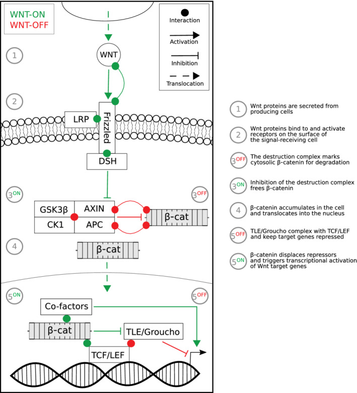 FIGURE 1