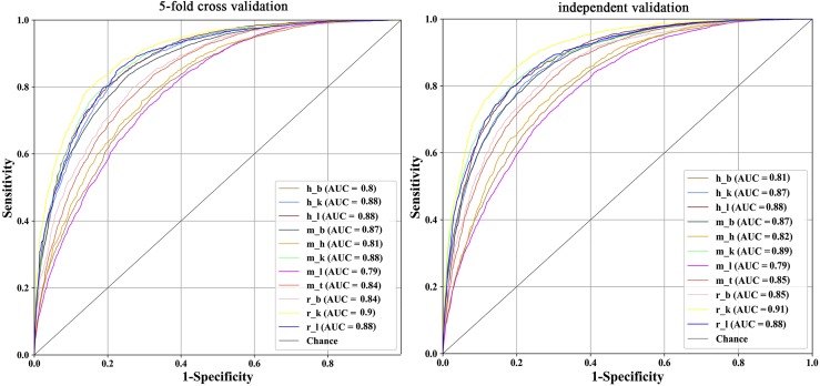 Figure 2