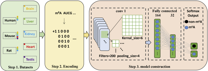 Figure 1