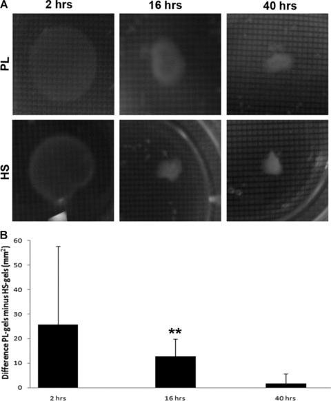 Fig 5