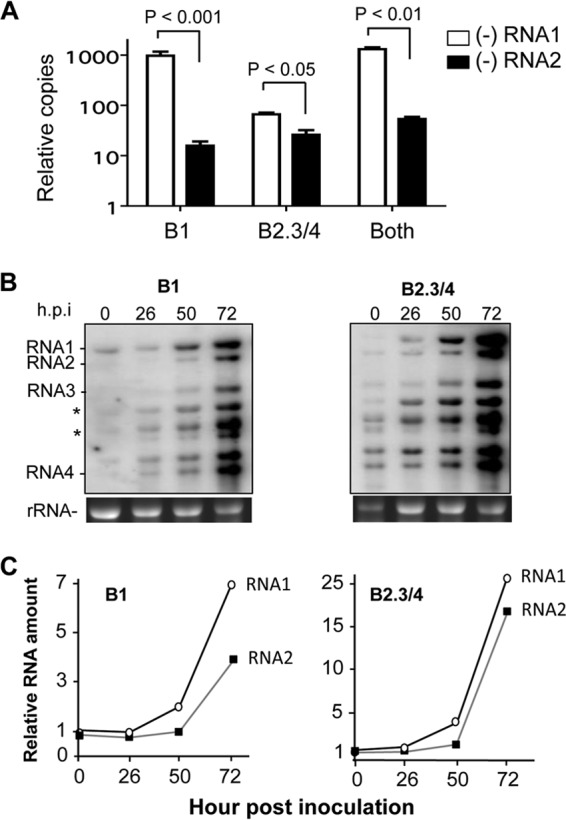 FIG 6