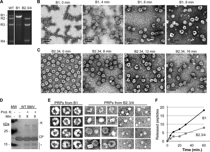 FIG 2