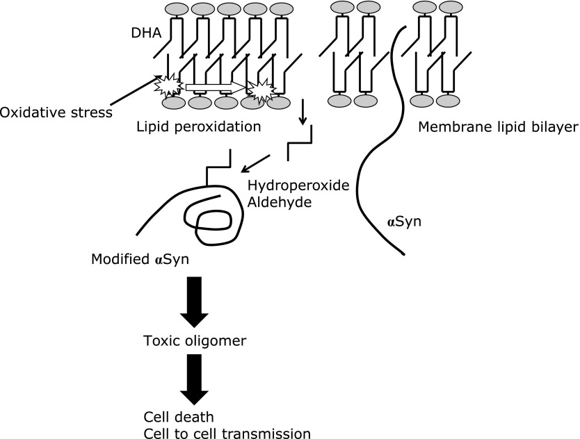 Fig. 3