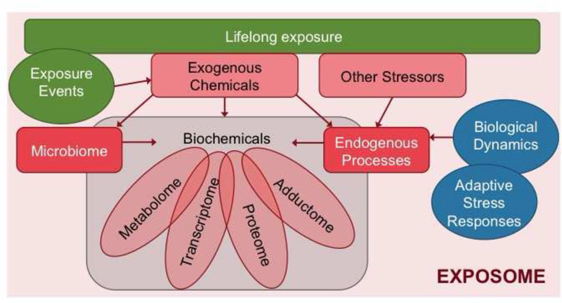 Figure 2: