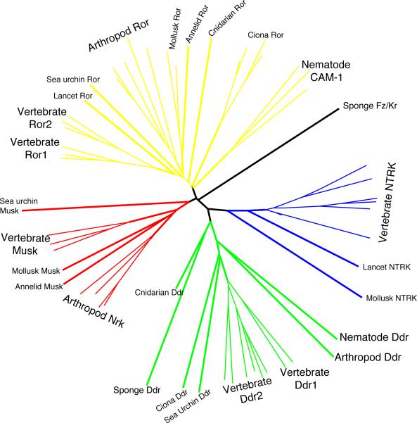 Box Figure 1