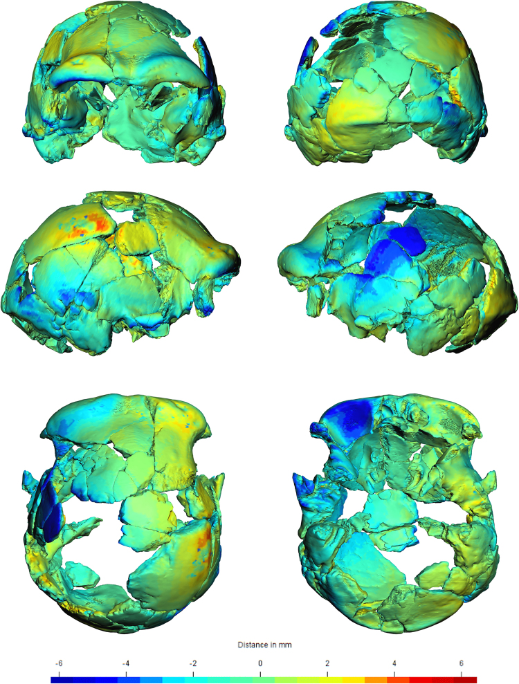 Figure 7