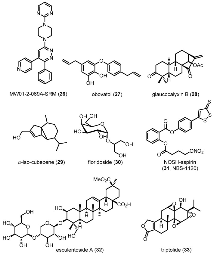 Figure 10