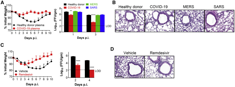 Figure 5