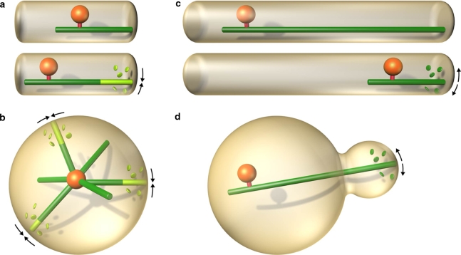 Fig. 3