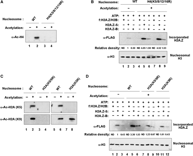 Figure 4.