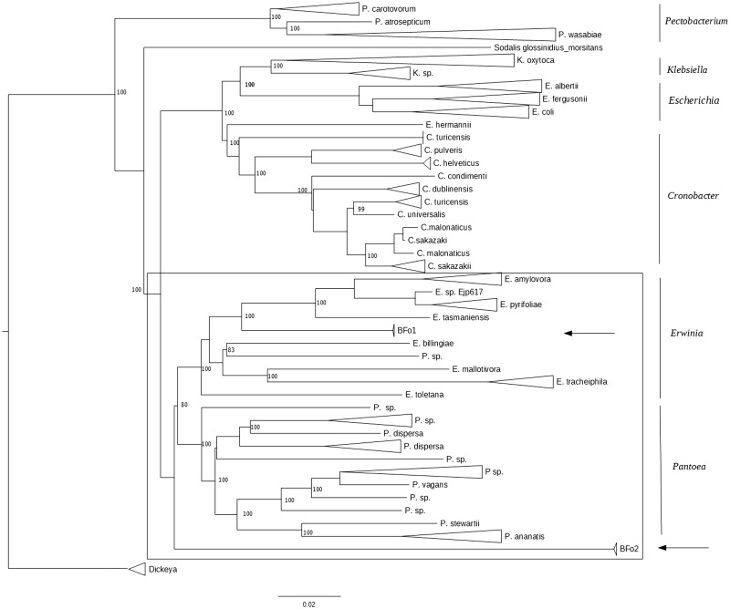 Fig. 3.—