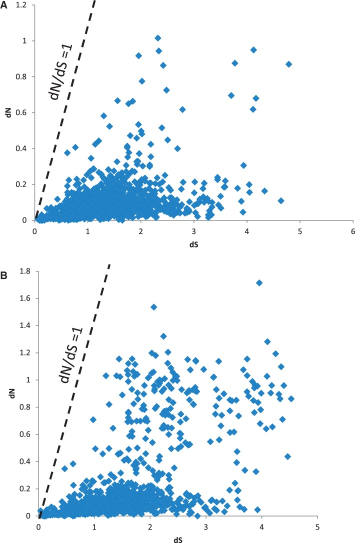 Fig. 4.—