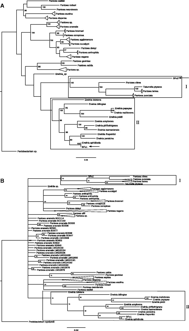 Fig. 2.—