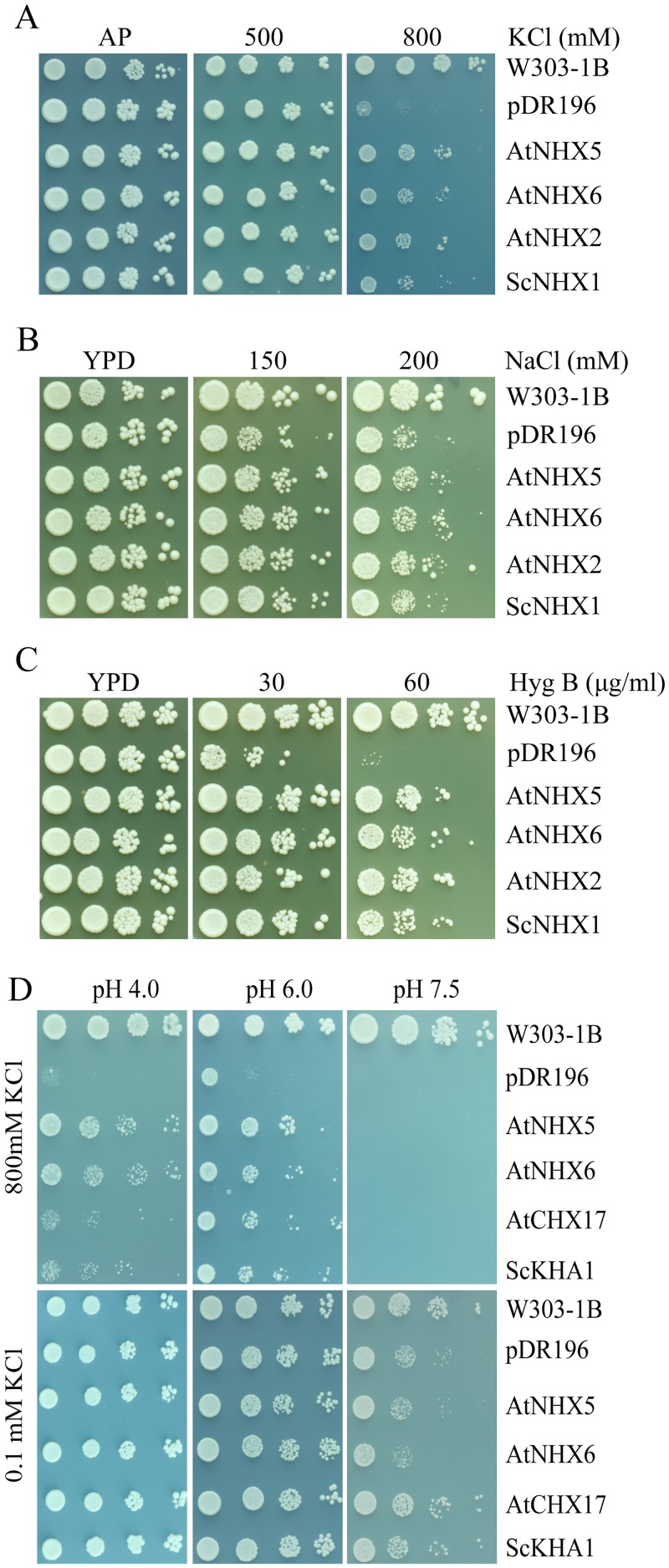 Fig 1